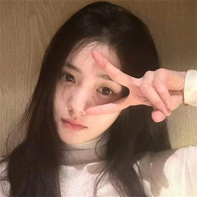 东北美发天团