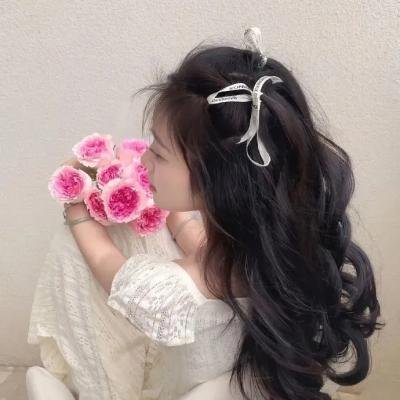 追鹰日记